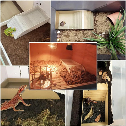 Turtle Bathing Pool Feeding Dish Durable Reptile Water Bowl for Box Turtles Frogs and Pets Easy to Clean Habitat Accessory
