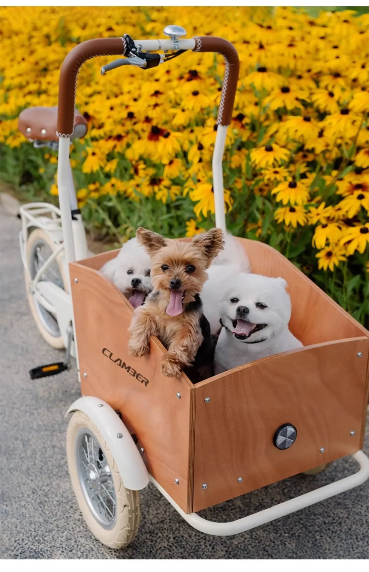 Lightweight Foldable Pet Stroller for Dogs and Cats – Universal Travel Cart Compatible with Bikes, Ideal for Outdoor Walks