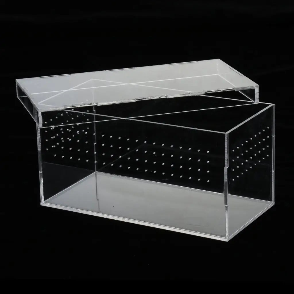 Plastic Reptile Vivarium Terrarium Easy to Observe with Reptile Terrarium Accessories for Small Animal Care