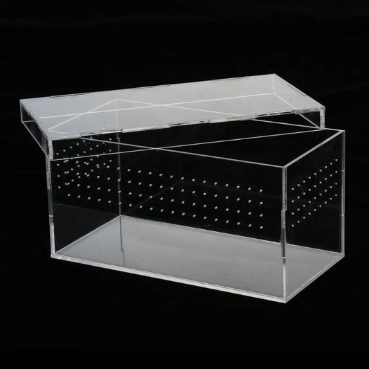 Plastic Reptile Vivarium Terrarium Easy to Observe with Reptile Terrarium Accessories for Small Animal Care
