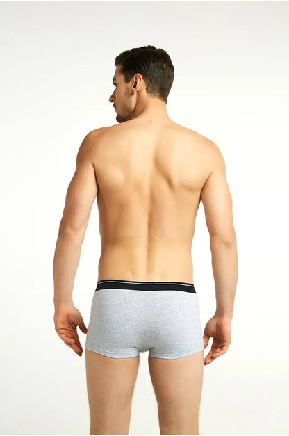 4pcs Men's Panties Sexy Shorts Cotton Underwear Male Breathable Boxers Solid Boxershorts Brand Underpants