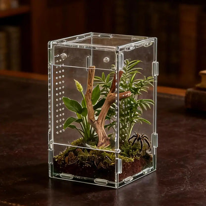 Acrylic Transparent Reptile Terrarium Breeding Box amphibian Cage Nano Arboreal Tarantula Enclosure Jumping spider Reptiles Habi