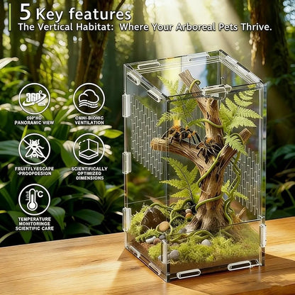 Acrylic Jumping Spider Enclosure Buckle Lock Escape Proof Reptile Feeding Tank Transparent Ventilated Spider House