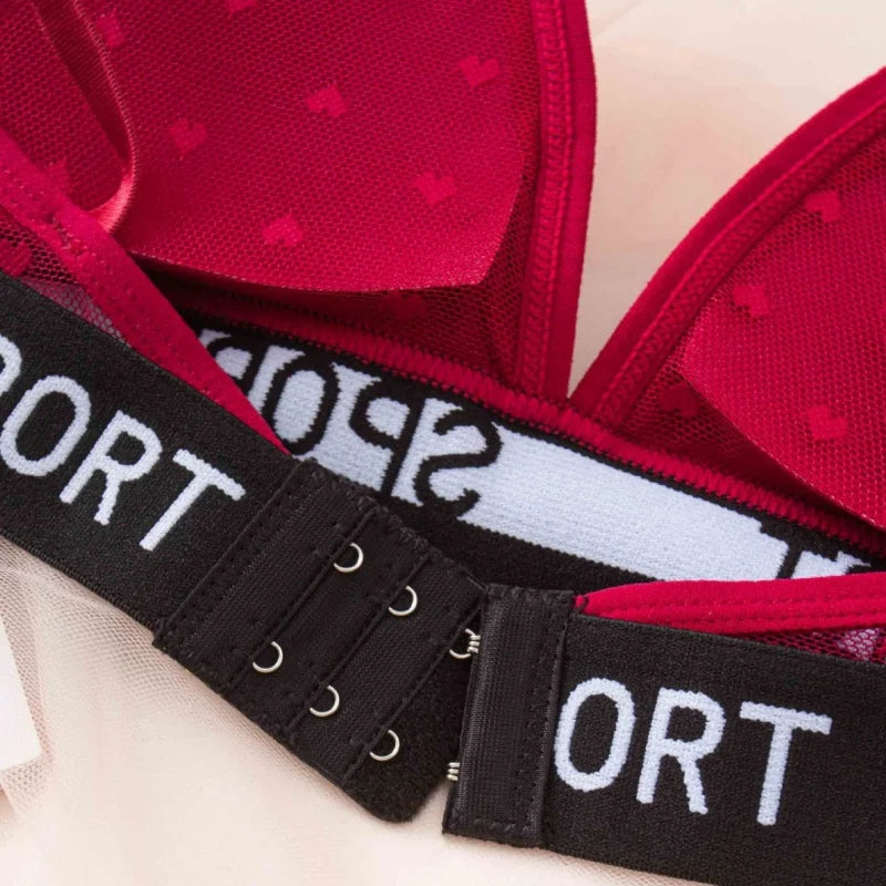 Women Lace Bra And Panties Set Sheer Polka Dot Sexy Lingerie Non-wire Bralette Low Rise Thong Letter Band Mesh Underwear Set