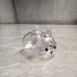 (HB05)Cartoon Pet Hair Memorial Transparent Storage Box Keyring Animal Rabbit Fur Organizer Keychain Bag Pendant Pet Souvenir