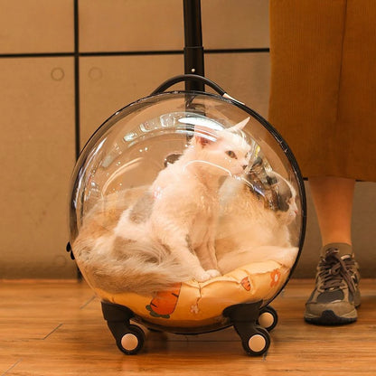 Portable Cat Bag for Going Out Large Capacity Transparent Breathable Pet Trolley Case Cat Travel Bag Pet Supplies Cat nest