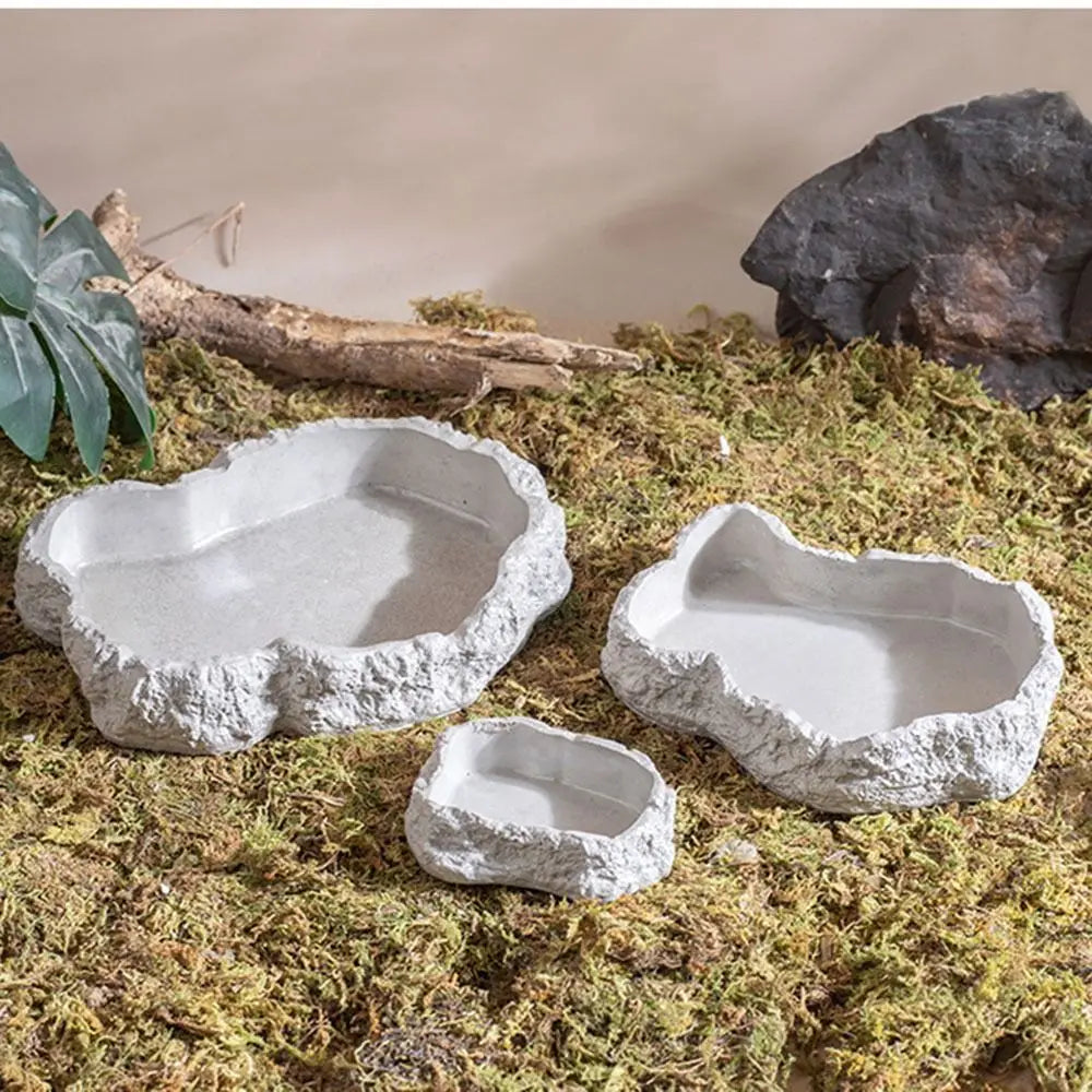 Anti-slip Climbing Pet Food Bowl Easy Clean Realistic Stone Reptile Drinking Water Feeding Tray Safe Durable Reptile Food Bowl
