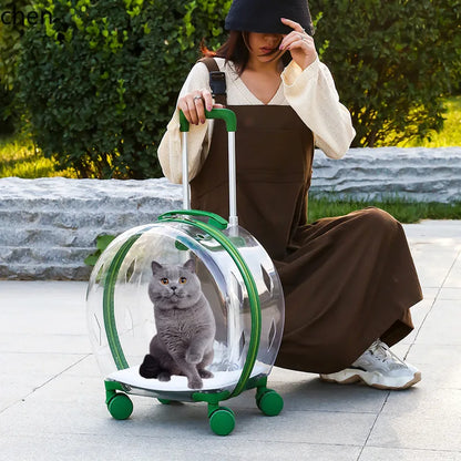 pet trolley case portable dog going out transparent trolley bag large capacity two cats