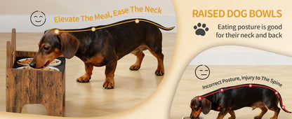 Raised Dog Bowl, Includes Two Stainless Steel Bowls with Splash-proof, Squeaky-Free Design, Suitable for Small and Medium Dogs