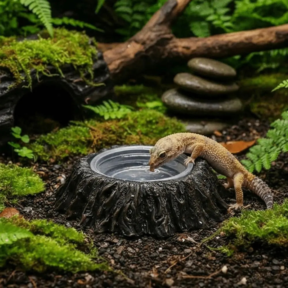 Imitation Stone Resin Rock Feeder Dish Wear Resistant Anti-knock Pet Feeder Ledge with Bowls Wide Mouth Reptile Food Bowl