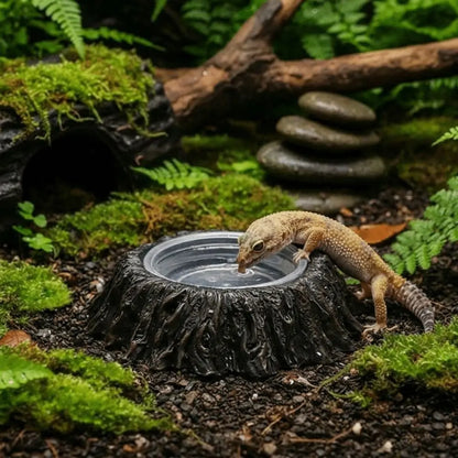 Imitation Stone Resin Rock Feeder Dish Wear Resistant Anti-knock Pet Feeder Ledge with Bowls Wide Mouth Reptile Food Bowl