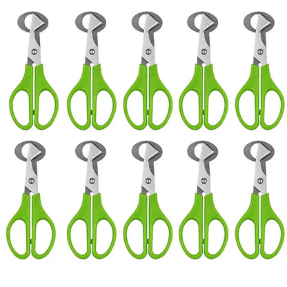 For Cutter Scissors Pigeon Bird Quail Egg Cutter Opener Cracker Kitchen Clipper Tool 10PCS Stainless Steel Quail Egg