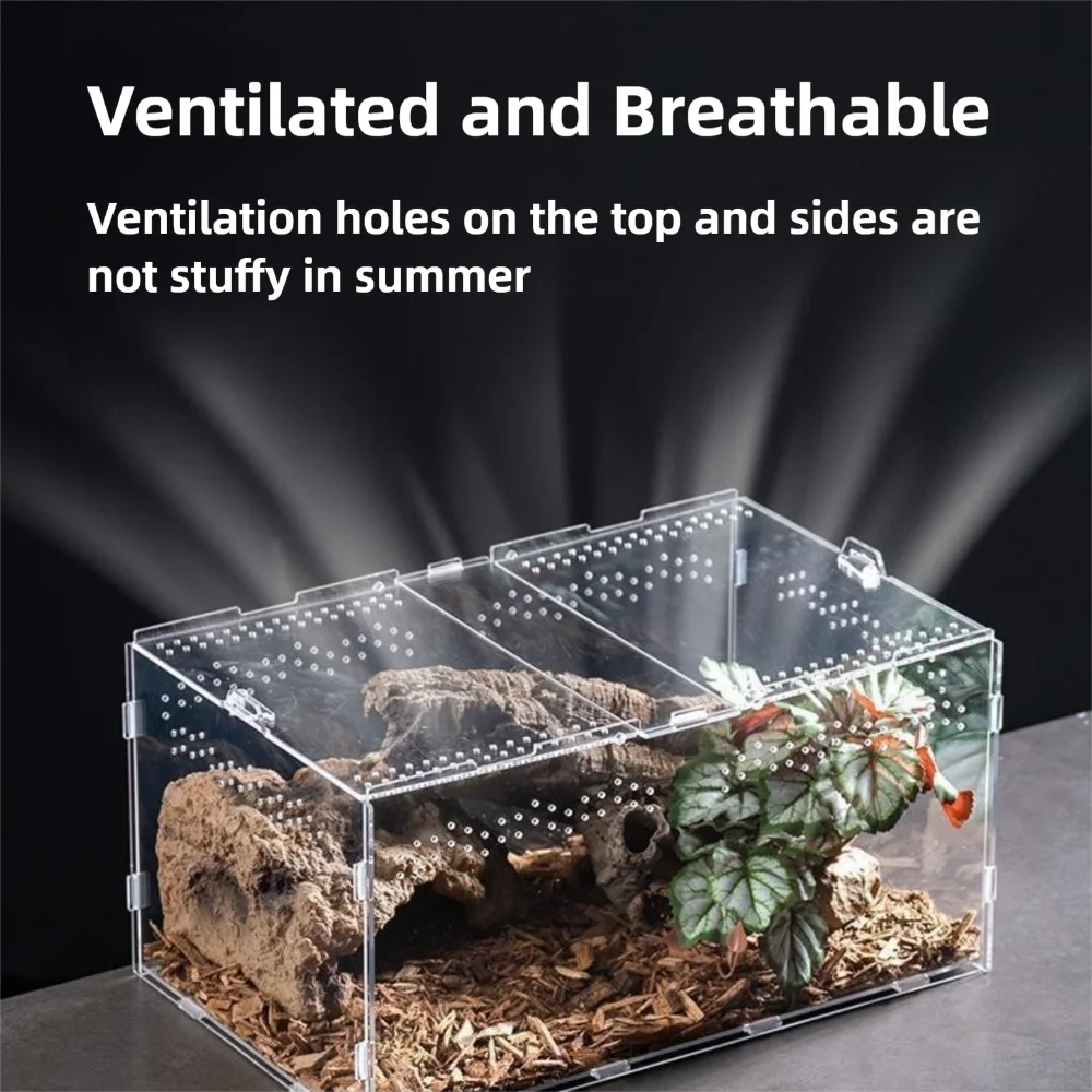 New Acrylic Reptile Habitat Anti-Escape Clear Spider Feeding Case Multiple Size Arboreal Small Pet Cage for Chameleon Clear