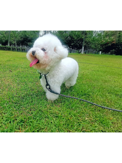 Dog Training Lead, Long Dog Lead 1.5M/2M/3M, Long Rope with Padded Handle for Small, Medium/Large Dog