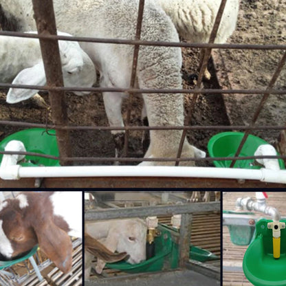 Livestock Sheep Goat Drinking Bowl Plastic Value Quality Water Fountain Cattle Sheep Dog Feeding Supplies Farm Animals Livestock