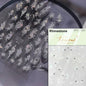 5D Gold Stamped Silver Sun Stars Snake Nail Art Stickers Totems Reliefs Self Adhesive Dark Chinese Style Manicure Decals