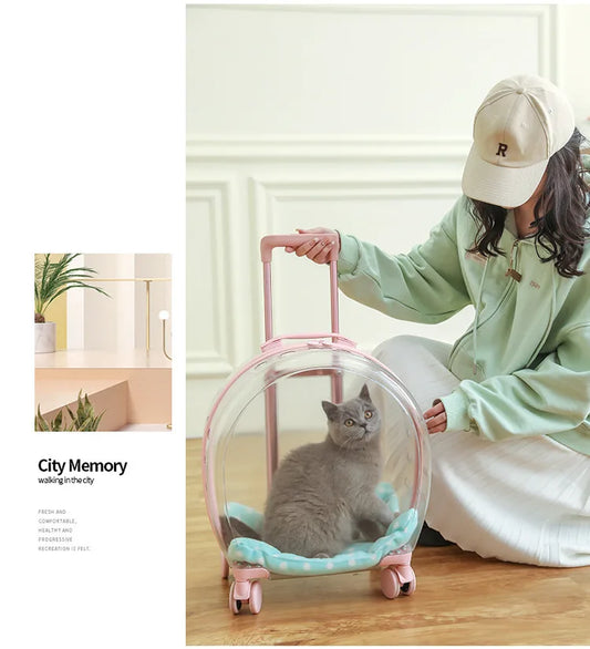 2026 Large Capacity Pet Suitcase for Two Cats Dogs Breathable Clear Wheel Portable Carry-on Luggage Pet Travel Bag