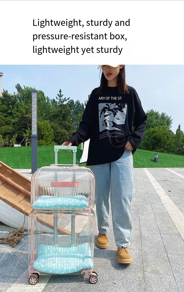 Pet Outdoor Suitcase Portable Car Mounted Double-layer Transparent Breathable Cat and Dog Tour Cat Bag