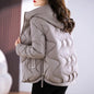 Hooded Parkas Women Winter 4XL Korean Fashion All-match Coats Thicken Keep Warm Streetwear Cold Wear Casual Female Outwear Ins