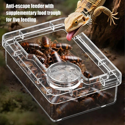 Reptile Escape Proof Feeding Dish Powder Reptile live food feeding bowl Transparent durable for Lizards chameleons iguanas
