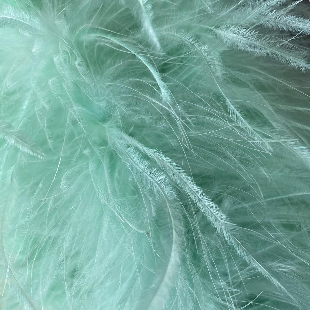 Jaxmonoy New Women Ostrich Feather Tube Spring Summer Sexy Stretch Top Bra Lady Party Wedding Fashion Sleeveless Cropped Top