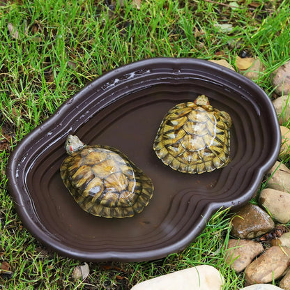 Reptile Feeding Dish Reptile Feeding Water Bowl Turtle Water Bowl Reptile Bathing Pool for Semi Aquatic Chameleon Gecko Rest