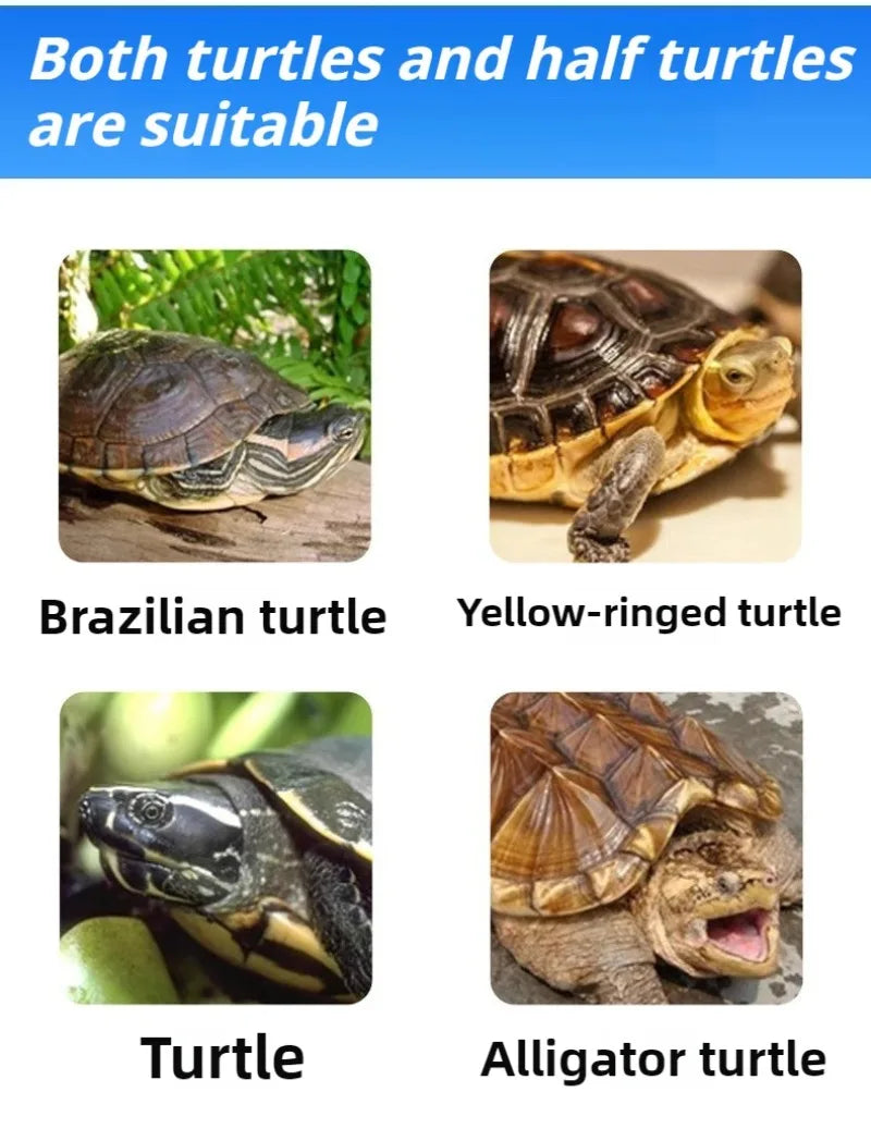 Oxygenate Turtle Terrariums Fliter Cultivation Turnover Box Multifunctional Large Space Fliter Box Turtle Fish Ecological Tank