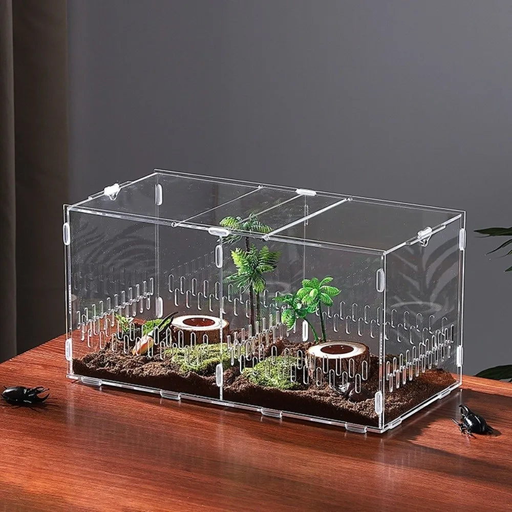 Acrylic Jumping Spider Enclosure 2 Doors Transparent Reptile Feeding Cage Ventilated Design Escape-proof Reptile Habitat