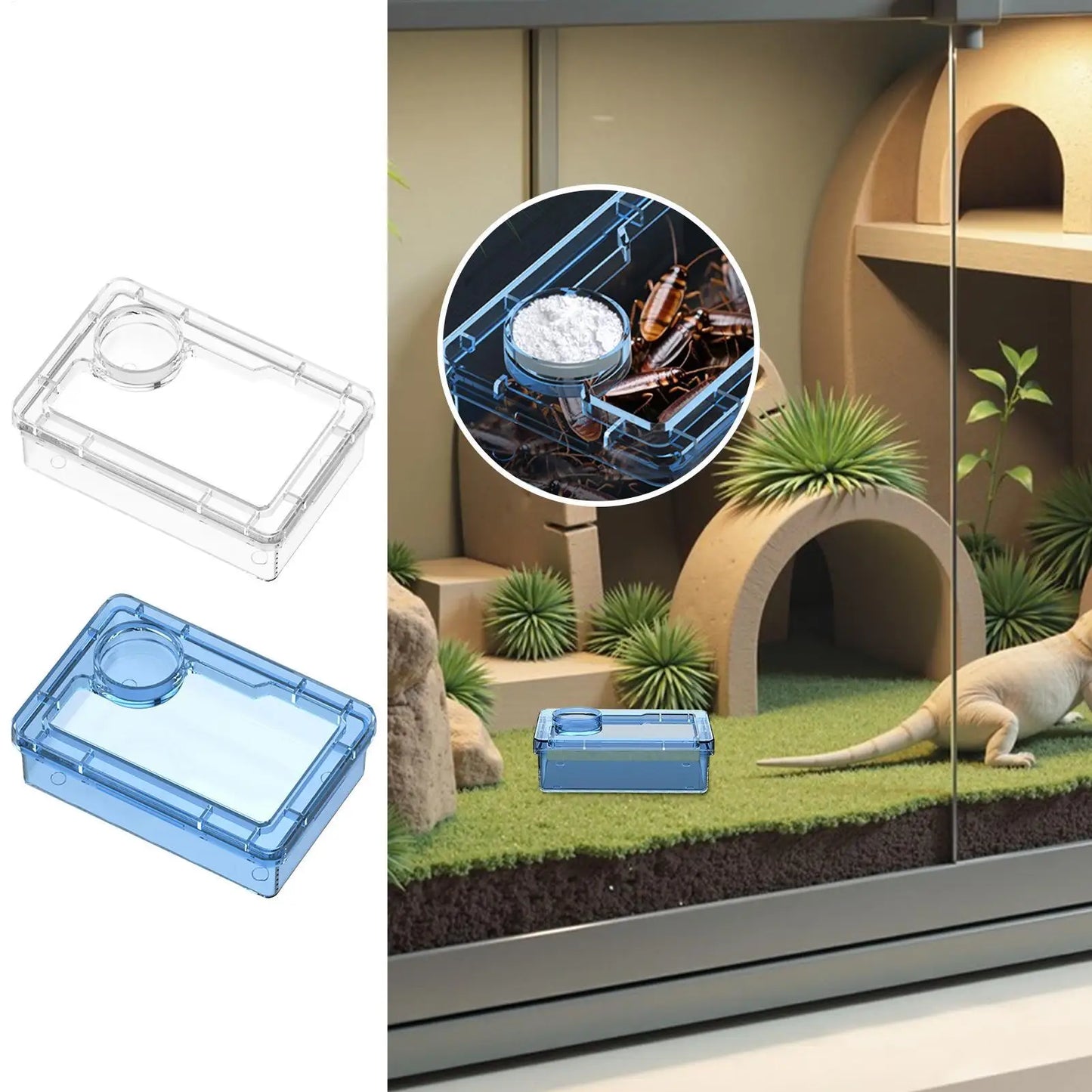 Reptile Escape Proof Feeding Dish Powder Reptile live food feeding bowl Transparent durable for Lizards chameleons iguanas
