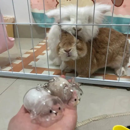 **Cartoon Pet Hair Memorial Transparent Storage Box Keyring Cute Animal Rabbit Fur Organizer Keychain Bag Pendant Pet Souvenirs