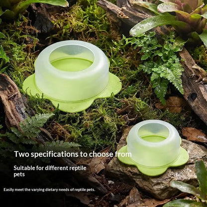 1Pcs ABS Reptile Feeding Dish Anti Escape Worm Food Bowl For Lizards Geckos Snakes Turtles Tortoises