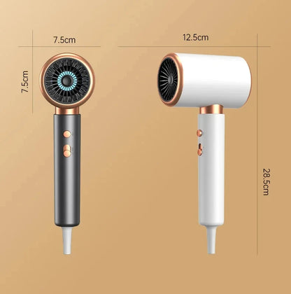 HOMEFISH 2000W Salon Hair Dryer with Hot/Cold Air Brush Negative Ionic Technology 5th Gear Strong Power Hairdryer without Comb