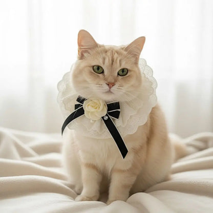 Elegant Design Pearl Pet Collar Lace Collar Princess Style Pet Bow Accessories Headgear Silk Material Bowtie Wedding Ceremony