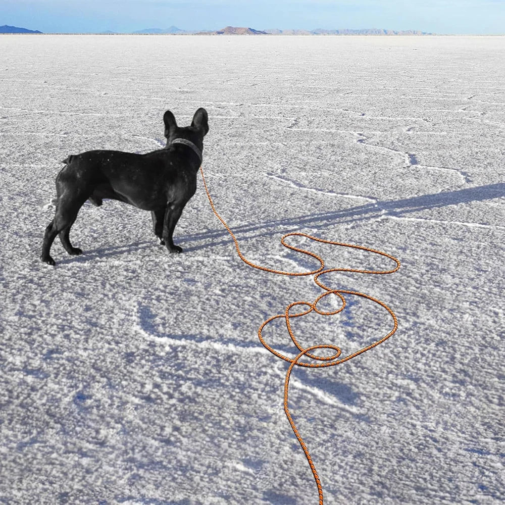 Dog Training Lead, Long Dog Lead 1.5M/2M/3M, Long Rope with Padded Handle for Small, Medium/Large Dog