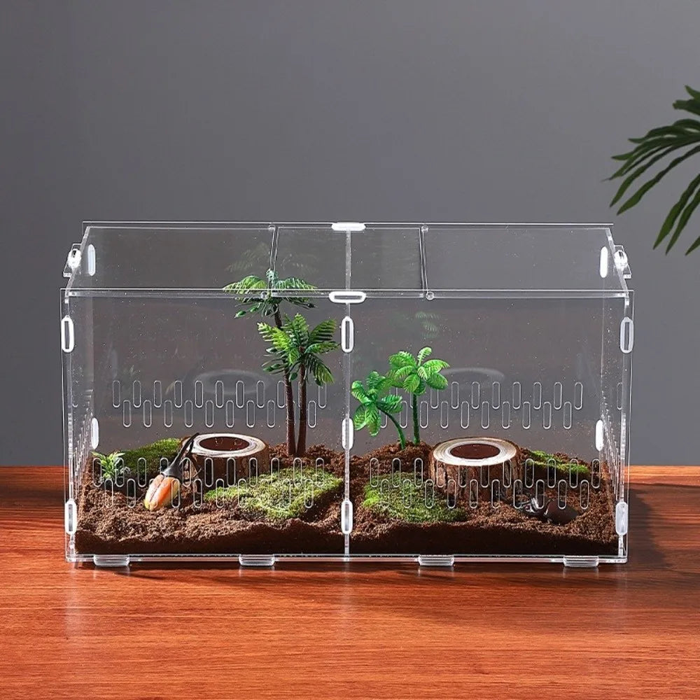 Acrylic Jumping Spider Enclosure 2 Doors Transparent Reptile Feeding Cage Ventilated Design Escape-proof Reptile Habitat