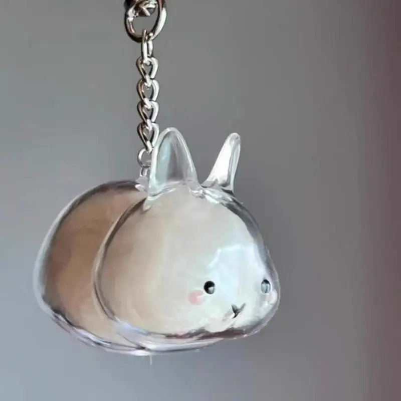 Cute Animal Rabbit Fur Organizer Keychain Bag Pendant Pet Souvenirs Cartoon Pet Hair Memorial Transparent Storage Box Keyring