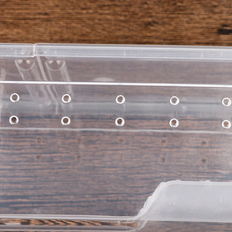 1pc Vivarium Lid Reptile Pet Product Reptile Tank Insect Spiders Tortoise Lizard Transparent Breeding Box