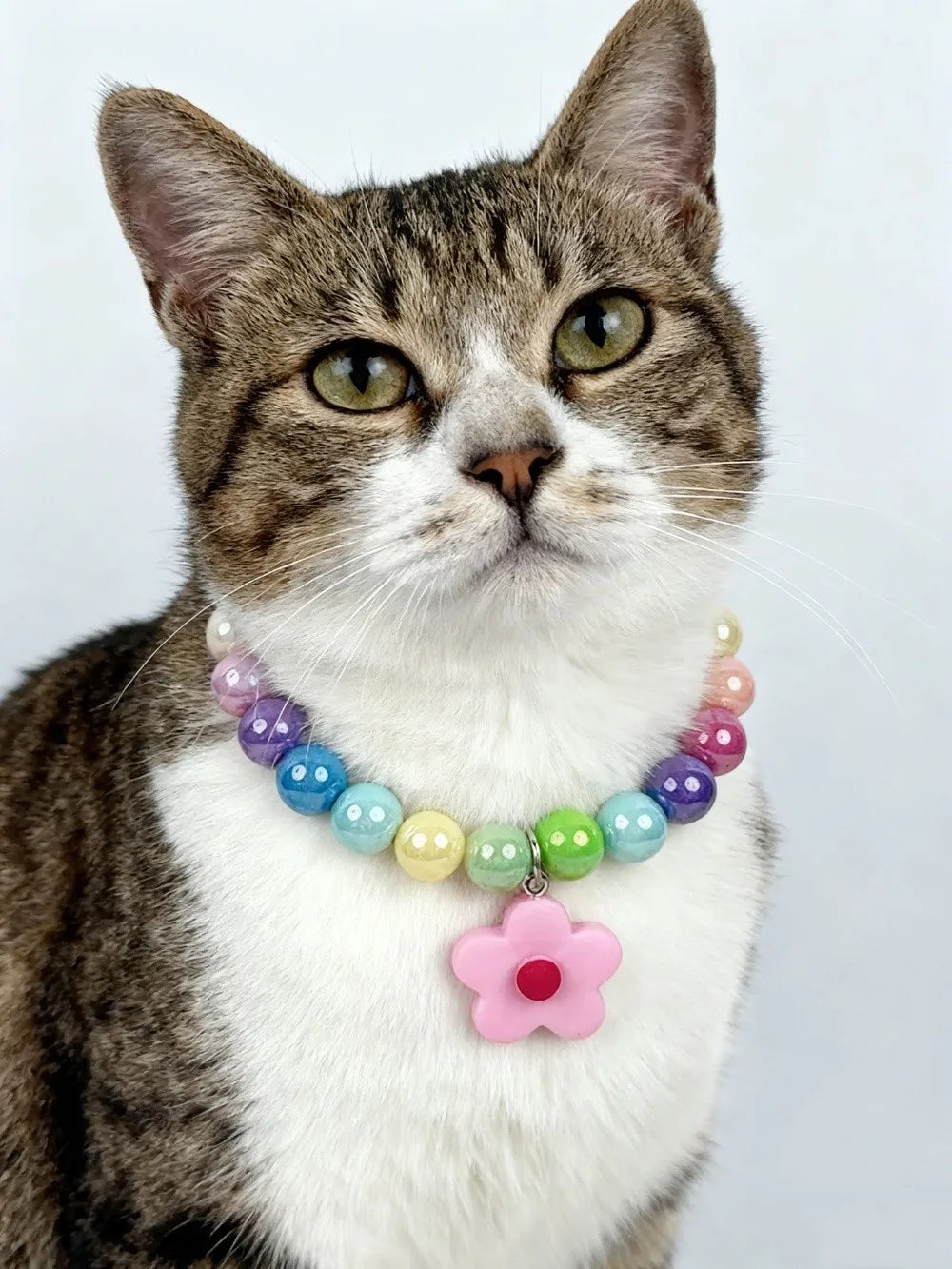 Cute Adjustable Beaded Cat Flower Pendant Candy Color Cat Pet Neck Chain Pet Jewelry Elastic Dog Cat Pet Collar Kitten Puppy