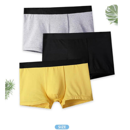 4Pcs Men Boxer Black Mens Panties Underwears Breathable Sexy Male Boxer Solid Underpants Comfortable Underwear Men's Boxers