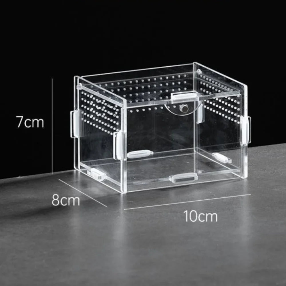 Durable Acrylic Reptile Habitat Anti-Escape Multiple Size Spider Feeding Case Clear Arboreal Lizard Breeding Box for Chameleon