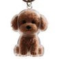 Clear Pet Hair Keychain Cute Dog Fur Keepsake Holder Creative Transparent Pet Hair Memorial Collection Pendant For Dog/Cat