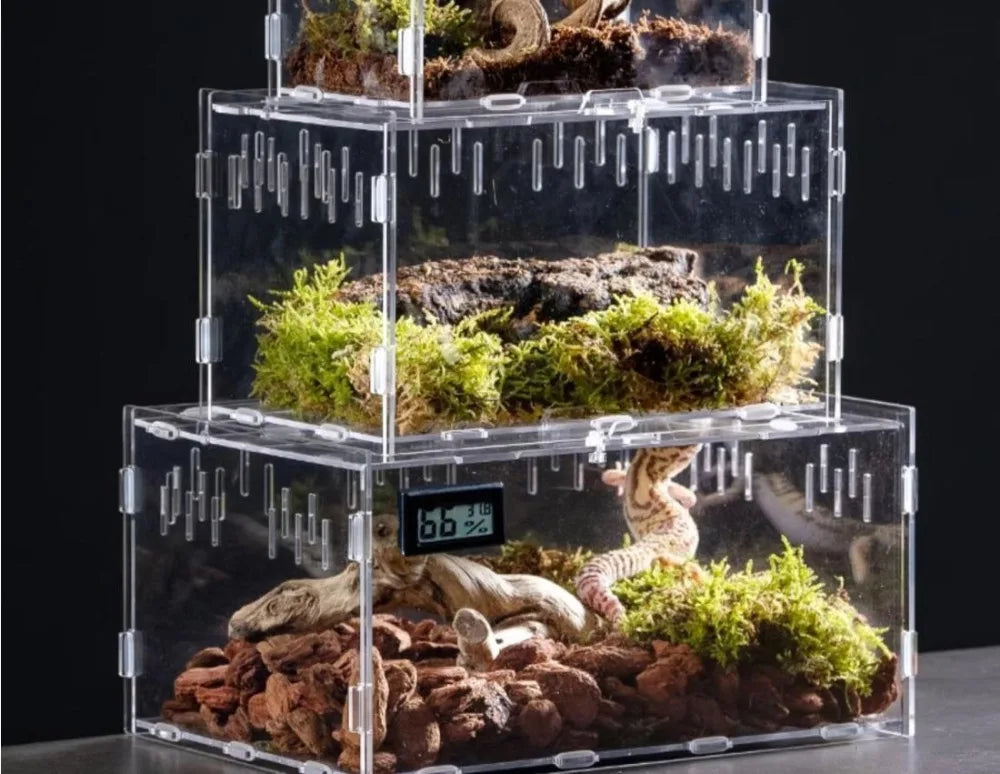 New Acrylic Reptile Habitat Anti-Escape Clear Spider Feeding Case Multiple Size Arboreal Small Pet Cage for Chameleon Clear