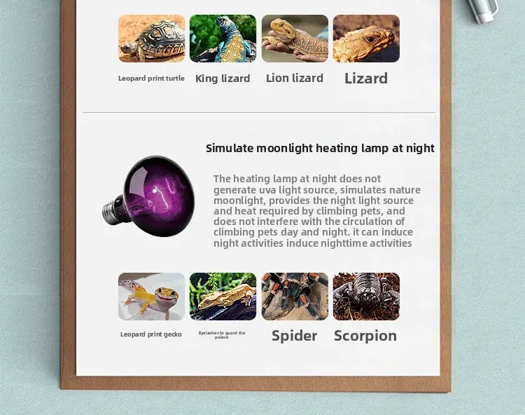 SuperRep Frosted UVA Reptile Heat Lamp-Daylight Basking Bulb for Tortoises & Bearded Dragons-Gentle Warming Light for Terrariums