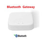 Zigbee Gateway Tuya Devices Bluetooth Wired Smart Hub Smart Life Products Home Control Panel Compatible with Alexa