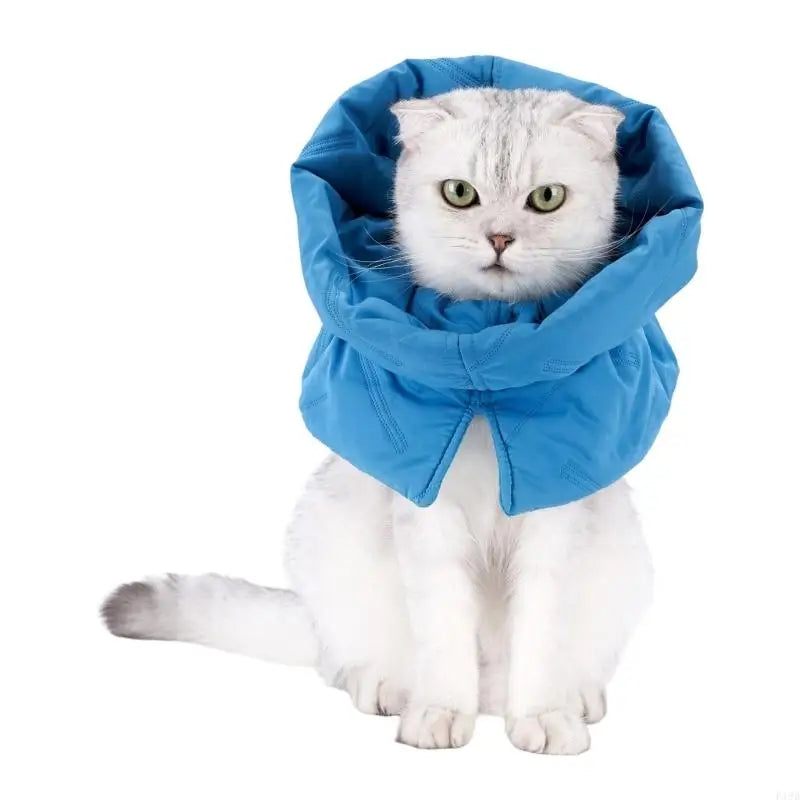 F19B Gentle Recovery Cones Cats Soft Prevents Biting And Licking Wounds