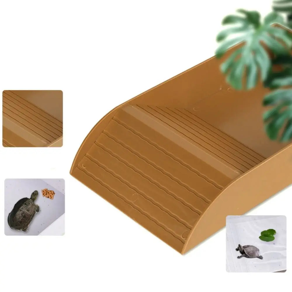 Dish Plastic Turtle Food and Water Bowl Tortoise Accessories for Basking Feeding Bathing