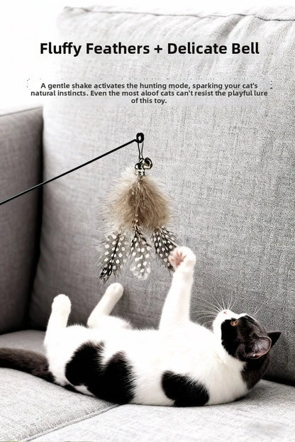 Wooden Handle Spring Teasing Cat Stick Feather Simulation Fishing Rod Cat Teaser Stick Interactive Replaceable Bell Squeaky Cat
