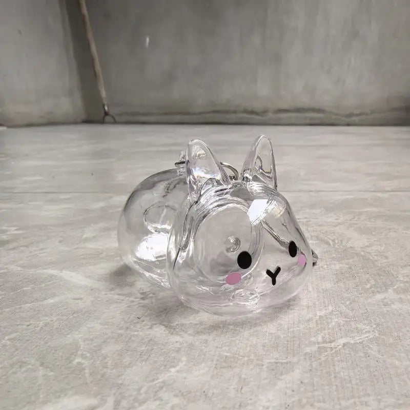 **Cartoon Pet Hair Memorial Transparent Storage Box Keyring Cute Animal Rabbit Fur Organizer Keychain Bag Pendant Pet Souvenirs
