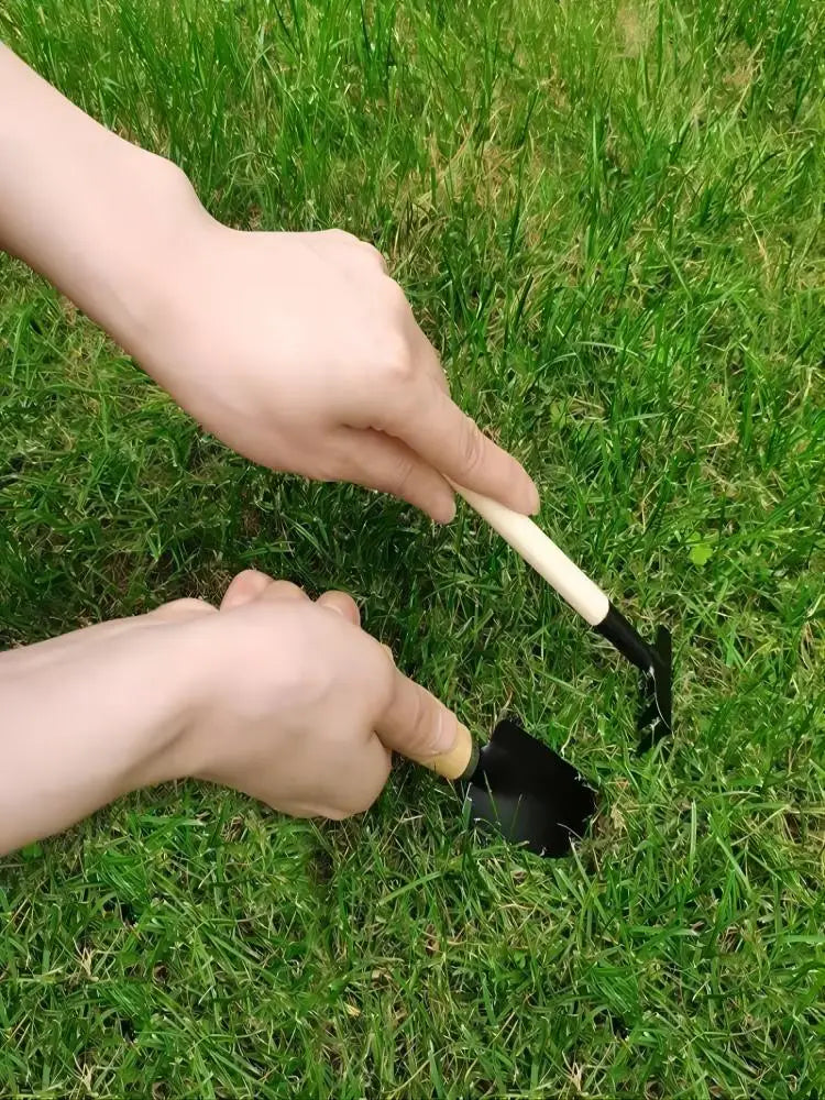 3Pcs Mini Garden Tools Set for Indoor Plants Cactus Vegetables Digging Weeding Flower Pot Small Plants Gardening Kit