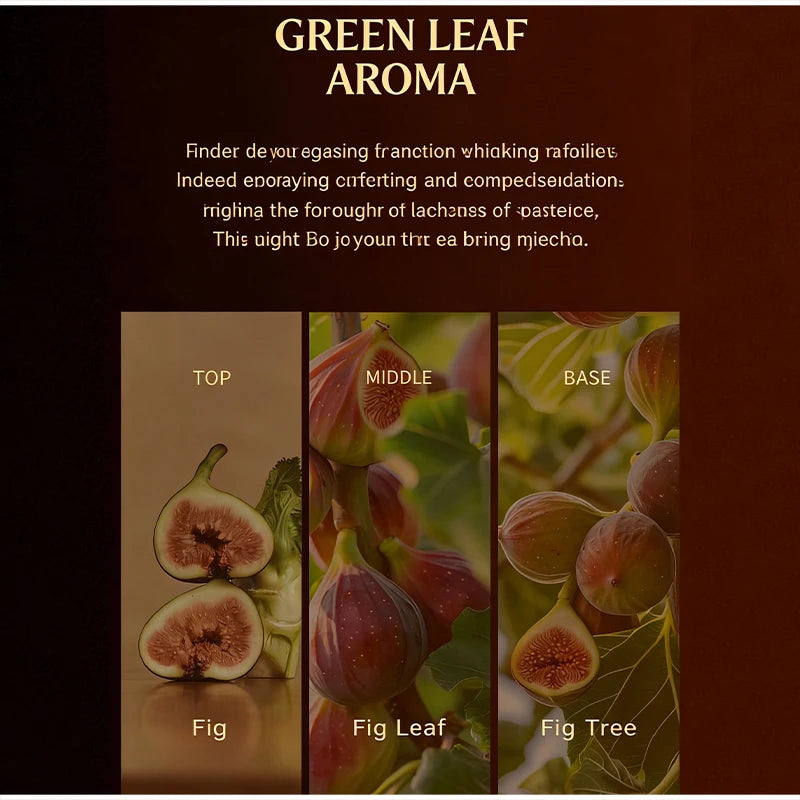Korean Salon Perfume, Fresh Fig Perfume, Sandalwood Rose Honey Thyme Tea Woody Floral Scent Spray Best Selling Women's Perfume